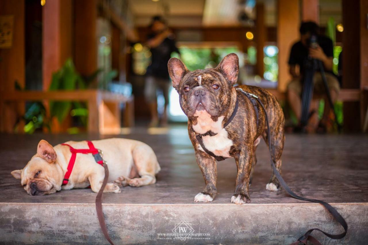Flora I Talay Otel Koh Chang Dış mekan fotoğraf